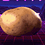 SomeDumbPotato